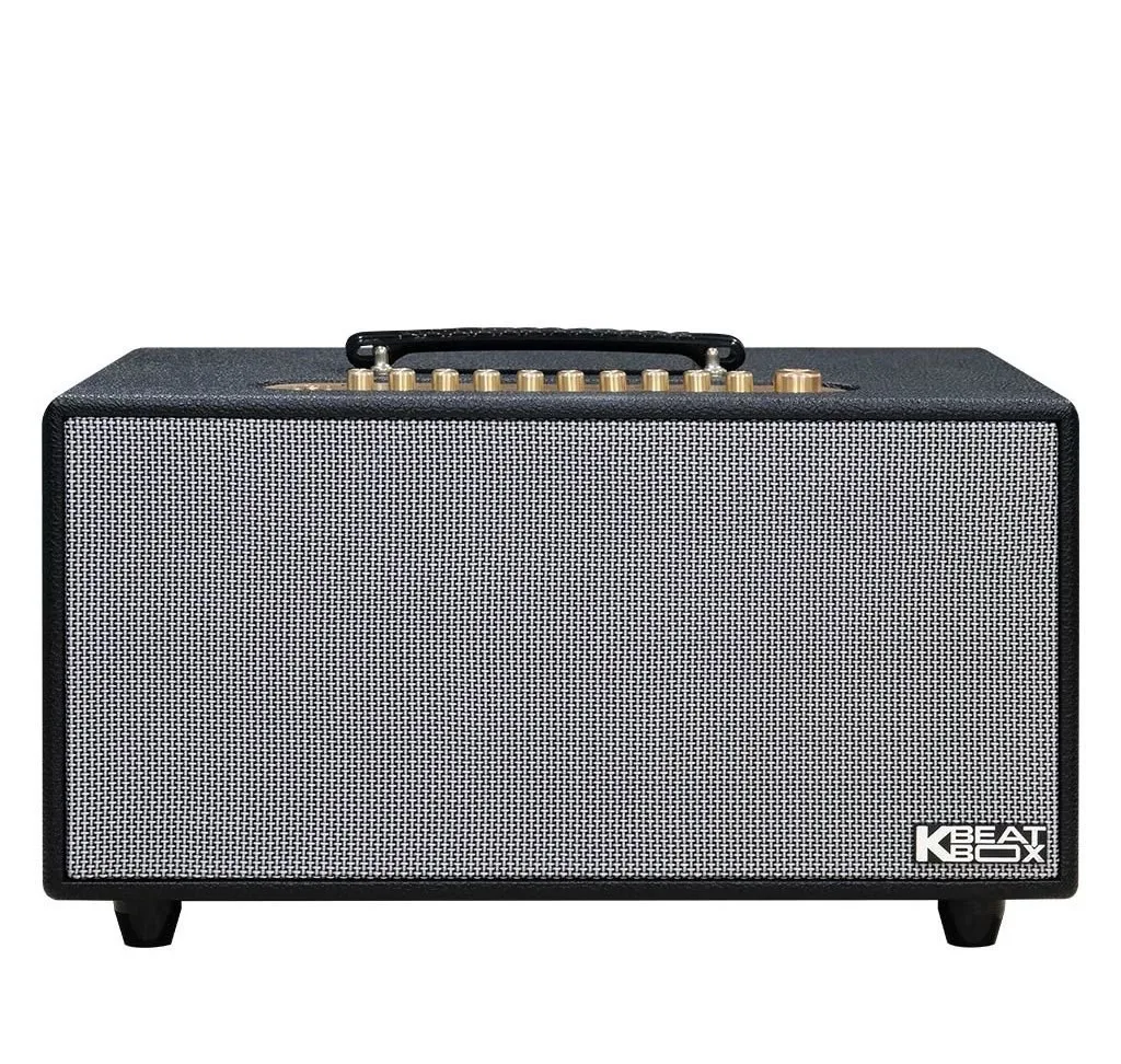 Loa xách tay Acnos HiNET 450 Gen 2 | Bass 16cm | 200W | BH 12 tháng 9 Loa xách tay Acnos HiNET 450 Gen 2