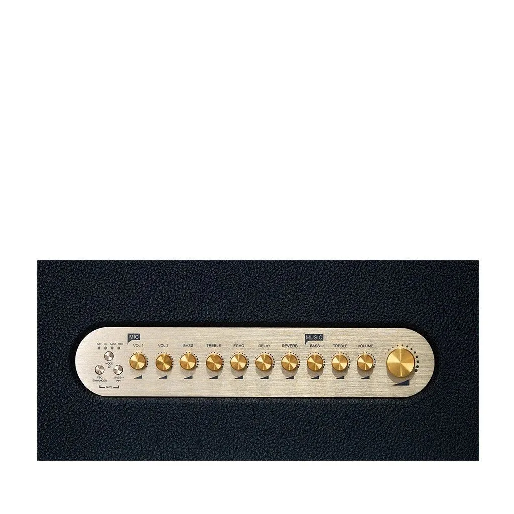 Loa xách tay Acnos Acoustic 3