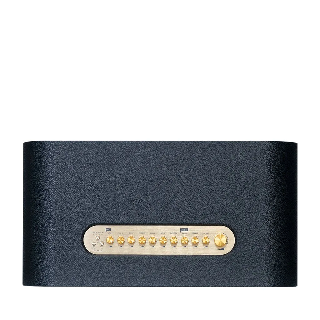 Loa xách tay Acnos Acoustic 3