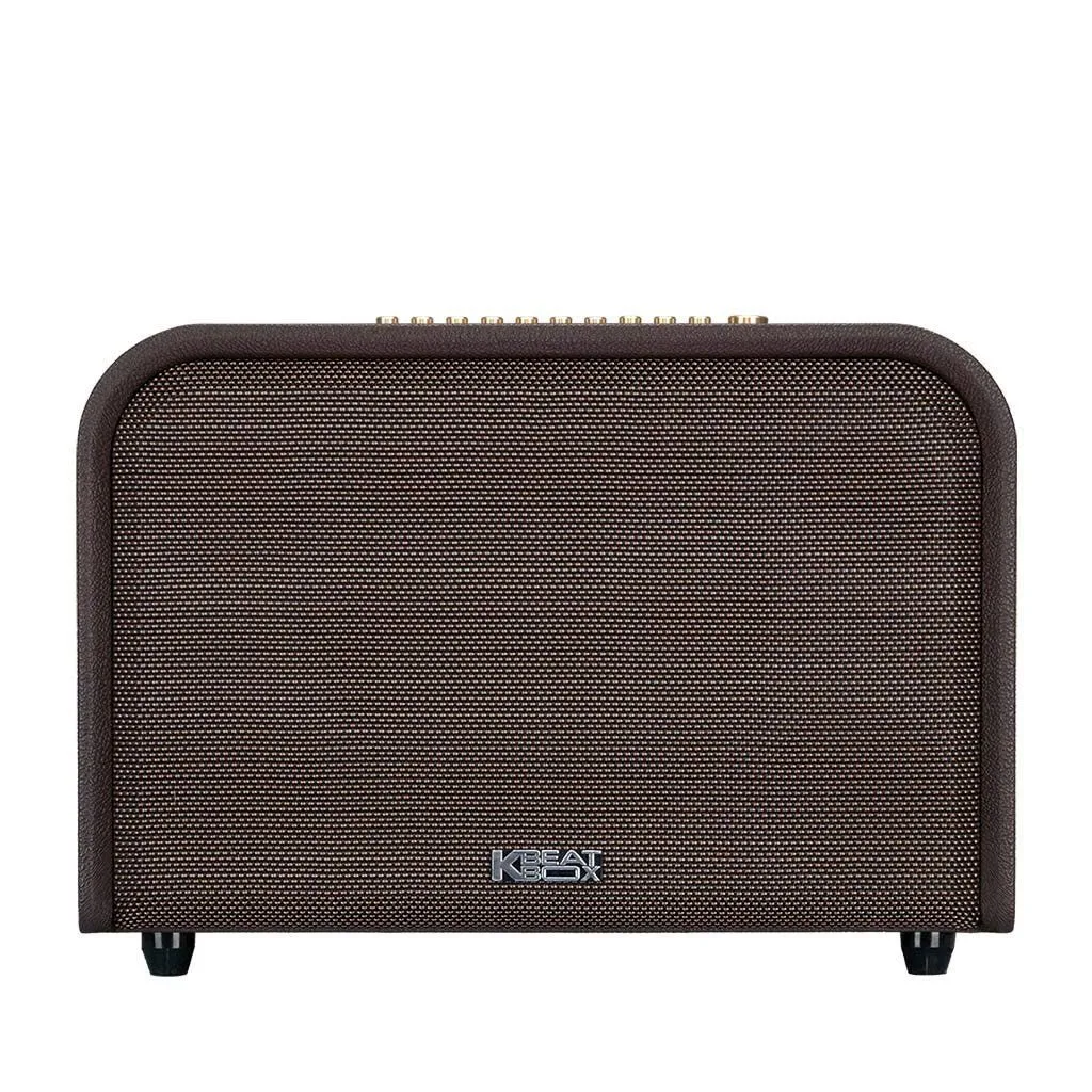 Loa xách tay Acnos Acoustic 3