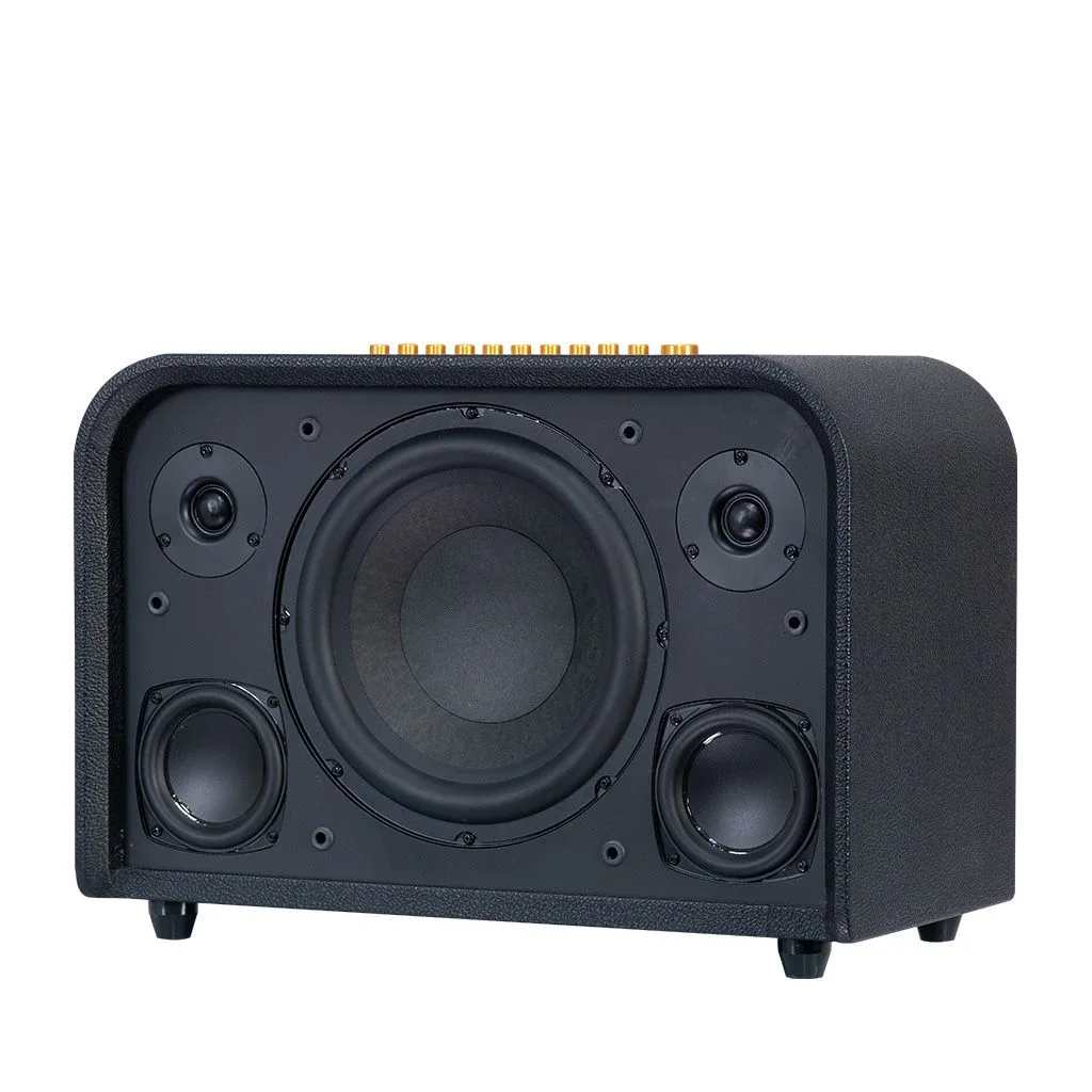 Loa xách tay Acnos Acoustic 3