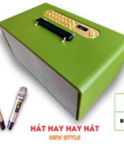 Loa xách tay VTek – V310