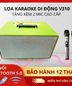 Loa xách tay VTek – V310