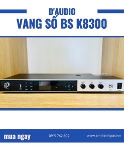 Vang số BS K8300
