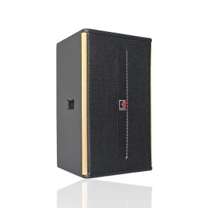 Loa Full Range AudioKing Q-12 chính hãng màu vàng