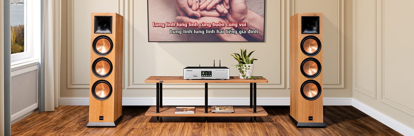loa karaoke nghe nhac Paramax 1