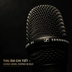 Sennheiser D1 – Micro Không Dây Cao Cấp chuẩn Gia Đình và Sự kiện (2026) 21 Đầu Micro khong day Sennheiser D1 chinh hang