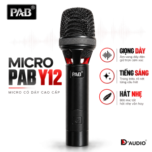 Hinh sản phẩm micro không dây Pab Y12 chính hãng