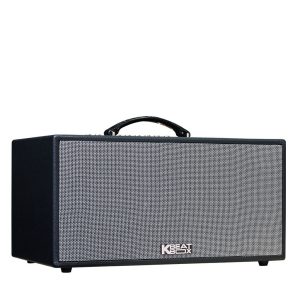 Loa Acnos CS448 chính hãng