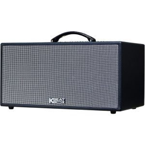 Loa Acnos CS448 chính hãng