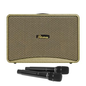 Loa PARAMAX Art 88 Chính Hãng – Bass 20cm, Công Suất 400W