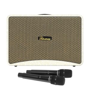 Loa PARAMAX Art 88 Chính Hãng – Bass 20cm, Công Suất 400W