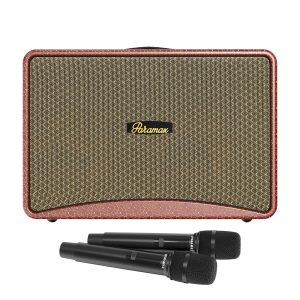 Loa PARAMAX Art 88 Chính Hãng – Bass 20cm, Công Suất 400W
