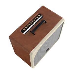 Loa di dong karaoke nghe nhac Paramax Evox Brown 1 4