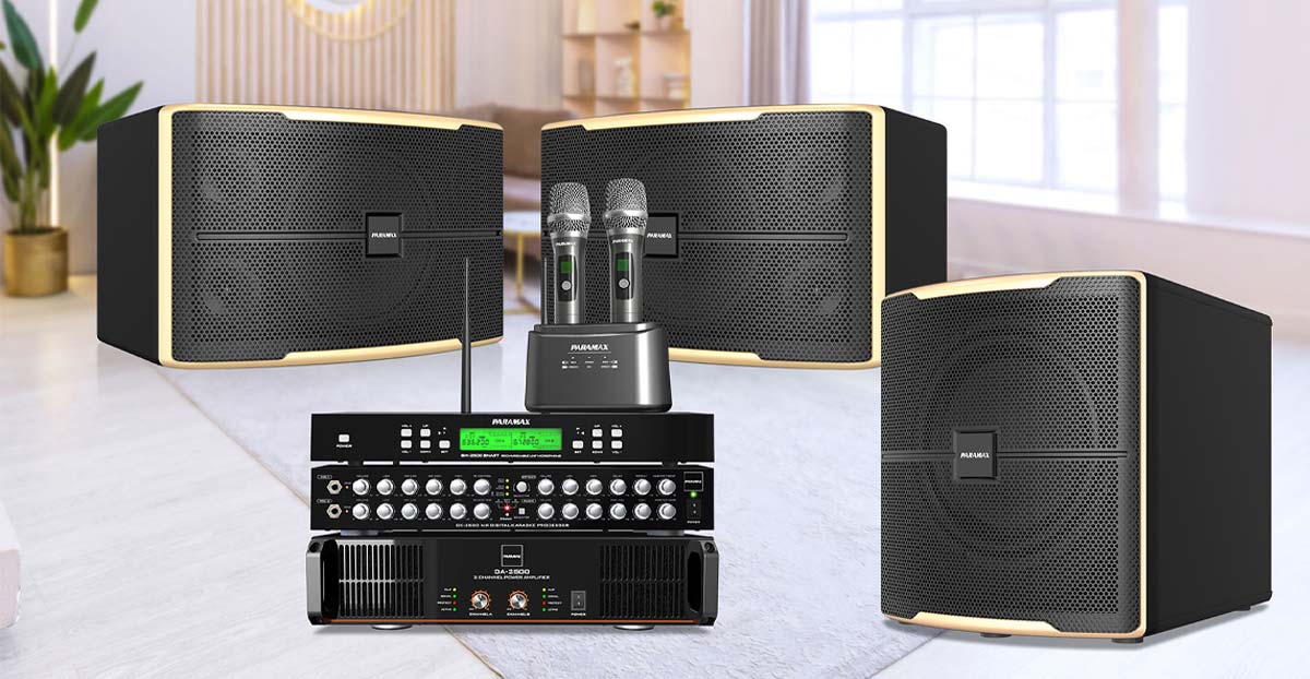 loa karaoke 12 inches paramax z2500 phoi ghep toi uu