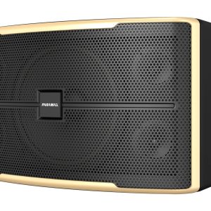 Loa Paramax Z-2500 Bass 30,5cm, Công Suất 250W Chính Hãng