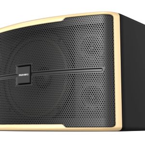 loa paramax z2500 chinh hang