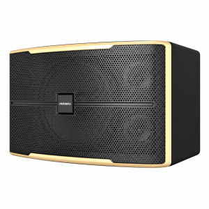 Loa Paramax Z-2500 Bass 30,5cm, Công Suất 250W Chính Hãng
