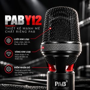 Pab Y12