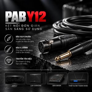 micro Pab Y12 chính hãng