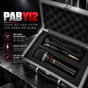 micro Pab Y12 chính hãng